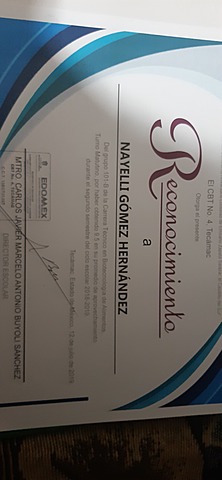 Obtuve reconocimiento a finales de ciclo escolar 2018-2019