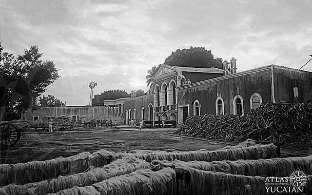 Surge el grupo de Porfiriato henequero en Yucatán