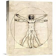 VITRUVIAN MAN