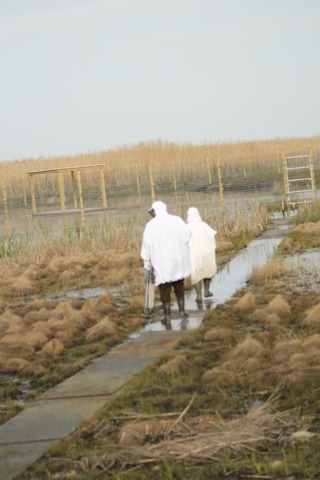 Last Bird Found in Louisiana
