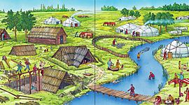 Timeline: Binder Mátyás - szakmai életút