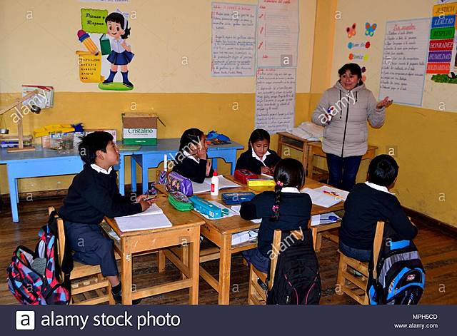 Primary English teacher