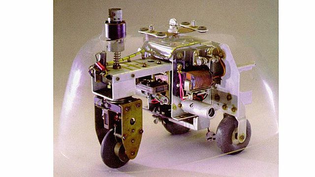 tortue cybernétique