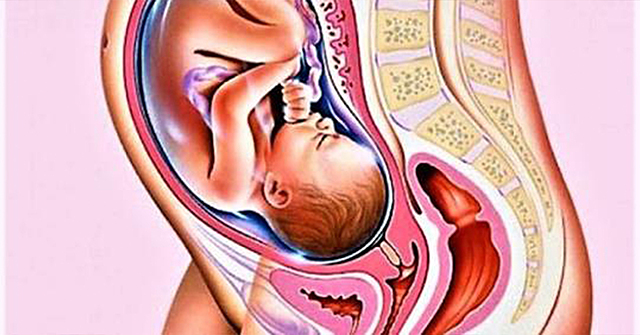 Month 9; Trimester 3