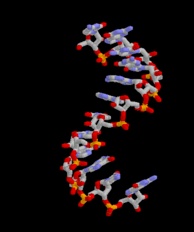 (1982) - RNA Molecules in Cellular Functions