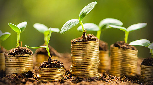 Estabilidade Financeira