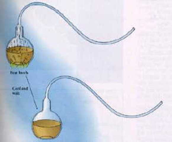 (1700s) Spallanzani's Experiment