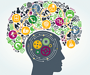 Proceso de Aprendizaje