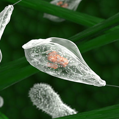 Timeline: Evolució de la ciència