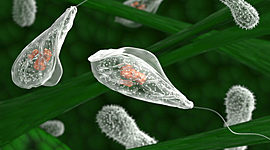 Timeline: Evolució de la ciència