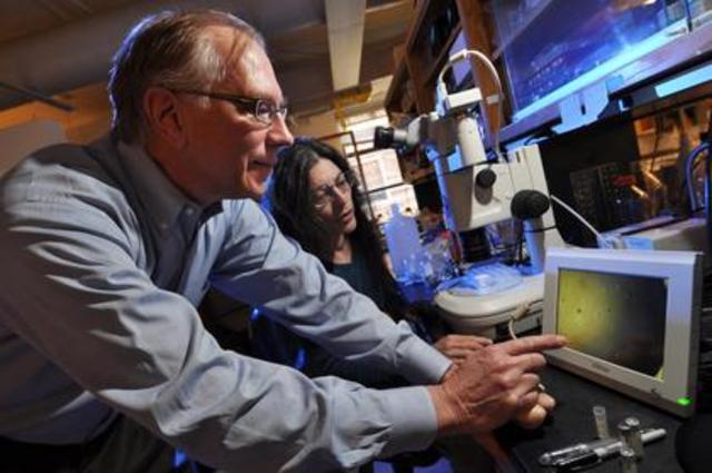 (early 1980s) Thomas Cech