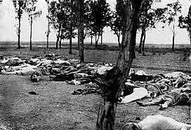 Genocidio de Zunghar