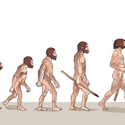 Timeline: El origen del hombre