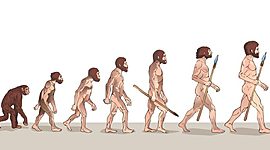 Timeline: El origen del hombre