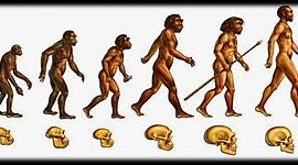 Timeline: El origen del hombre