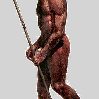 Timeline: la evolución del hombre