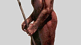 Timeline: la evolución del hombre