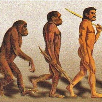 Timeline: El origen del hombre