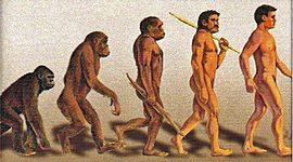 Timeline: El origen del hombre