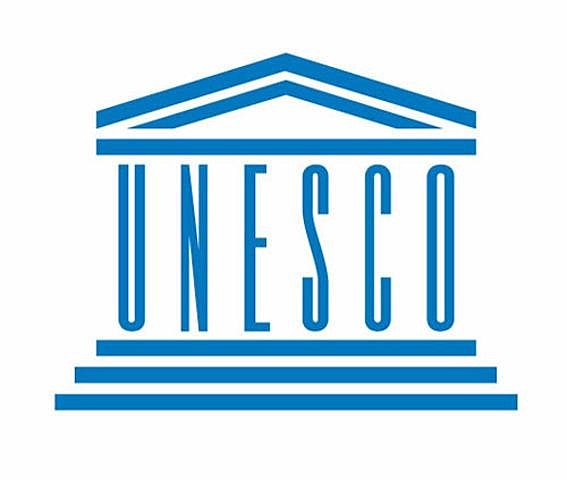 2002 UNESCO Primera definición  de Recurso Digitales RED