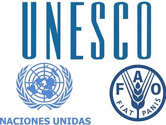 se forman la ONU, UNESCO y FAO