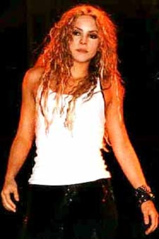 Segona Gira: Tour Anfibio