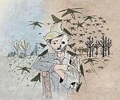 Incursión a la vereda Mata de Plátano