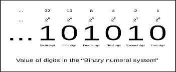 The binary system
