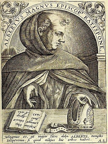Alberto Magno