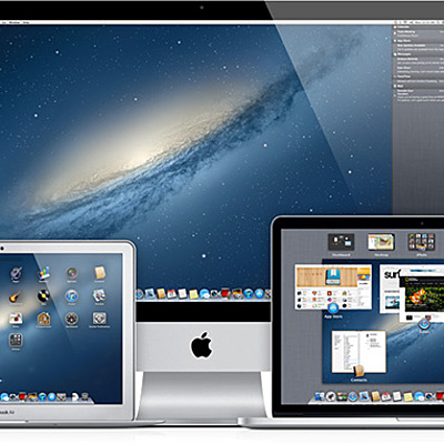 Timeline: los polluelos