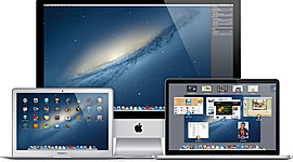 Timeline: los polluelos