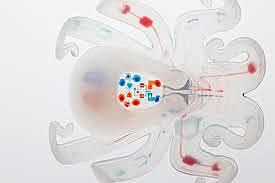 Octobot