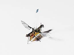 Robofly