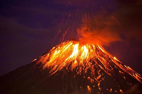 Casi extinción masiva.