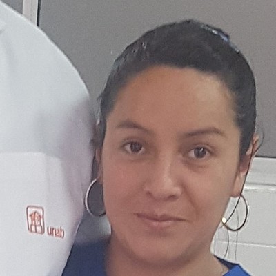 Timeline: Marco ambiental - Elizeth Andrea Castiblanco Ospina - Zipaquirá - Cundinamarca