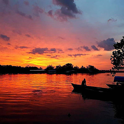 Timeline: HISTORIA DEL INTERNET