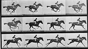 Eadweard muybridge