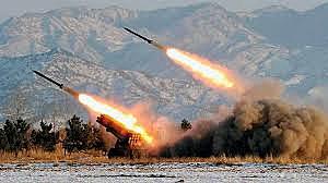 Red inmune ataques nucleares.