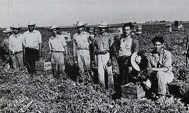 programa de “braceros”