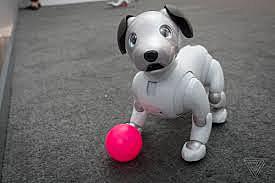 robotic dog