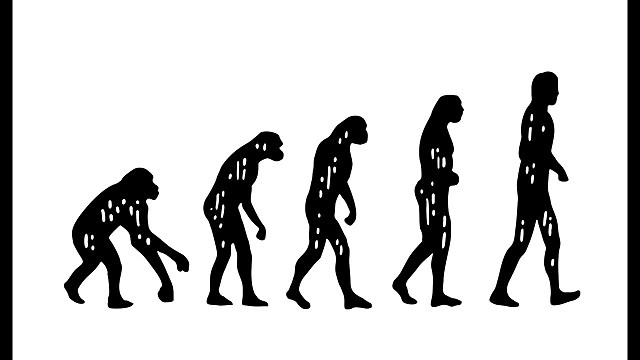Theory of evolution becomes a hot topic about teaching in school.