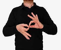 Board of Education of Hendrick Hudson v. Rowley