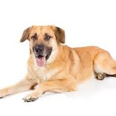 Timeline: The History Of Film