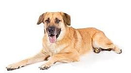 Timeline: The History Of Film