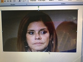 Mercedes Araos renuncia como Vicepresidente