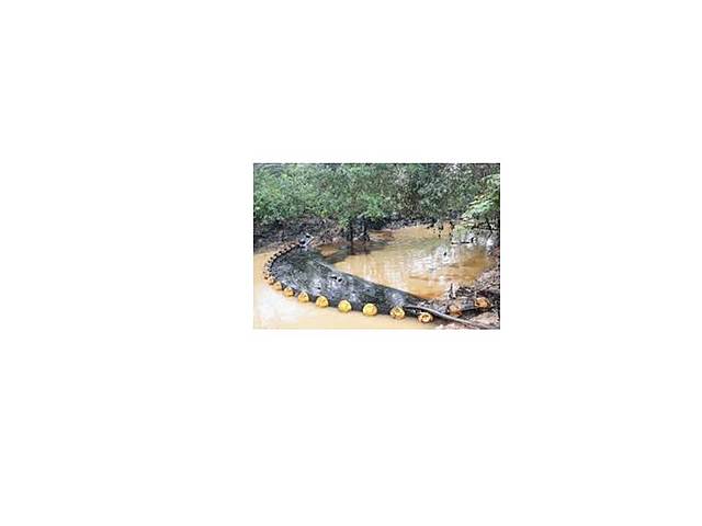 DECRETO 0321 DE 1999