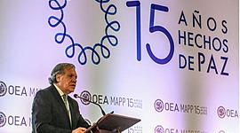 Timeline: MISIONES DE PAZ (OEA)
