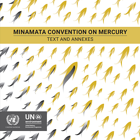 CONVENIO DE MINAMATA