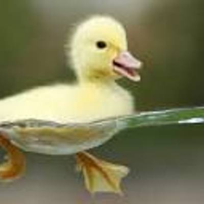 Timeline: el patito  feo