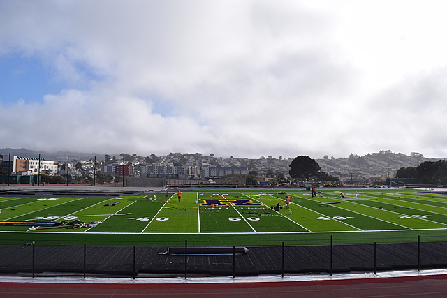 Field Project Week 16